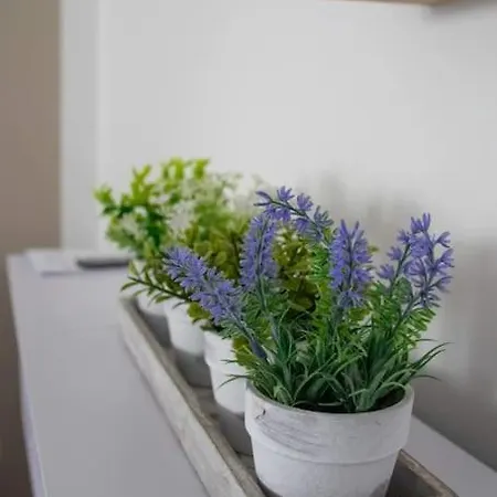 Ferienhaus Toni Im Stadtkern Von Apartmán *
